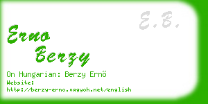 erno berzy business card